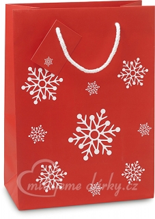 Střední papírová taška s vánočním motivem, 22x30 cm