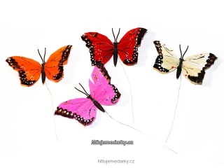 barevný motýl / motýlek otakárek, balení 12 ks