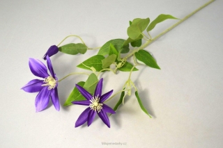 Umělá květina Clematis se 2 květy, 68cm